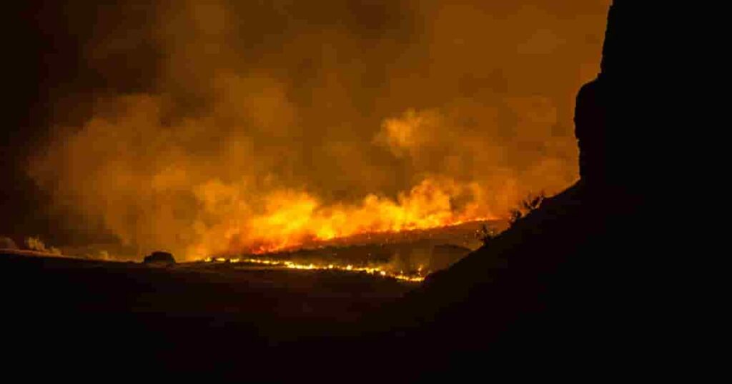 Steps for How to Get a Job as a Wildland Firefighter
